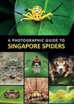 A Photographic Guide To Singapore Spiders