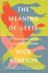 The Meaning of Geese