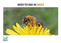Bees to See in 2023