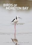 Birds of Moreton Bay