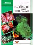 Le Macroalghe delle Coste Italiane [The Macroalgae of the Italian Coasts]