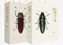 An Iconography of Chinese Buprestidae (Coleoptera) (2-Volume Set) [English / Chinese]