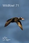 Wildfowl, Issue 71