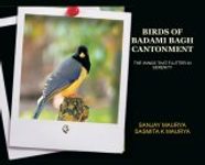 Birds of Badami Bagh Cantonment