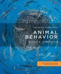 Animal Behavior (International Edition)