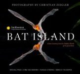 Bat Island