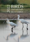 Birds and Wildlife in Cumbria 2022