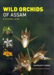 Wild Orchids of Assam