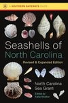 Seashells of North Carolina
