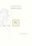 Fauna Helvetica 34: Bombyliidae [French / German]