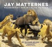 Jay Matternes