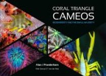 Coral Triangle Cameos