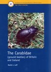 RES Handbook, Volume 4, Part 2: The Carabidae (Ground Beetles) of Britain and Ireland