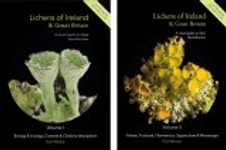 Lichens of Ireland & Great Britain: A Visual Guide to Their Identification (2-Volume Set)