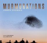 Murmurations