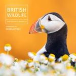 British Wildlife Photography Awards, Collection 13