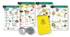 Beginners Field Mycology Kit