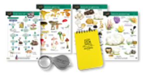 Beginners Field Mycology Kit
