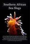 Southern African Sea Slugs