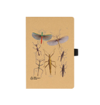Stick Insects Notebook