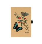 Metamorphosis Notebook 