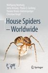 House Spiders - Worldwide