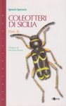 Coleotteri di Sicilia. Parte III [Beetles of Sicily, Volume 3]