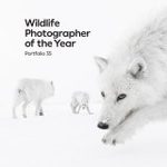 Wildlife Photographer of the Year, Portfolio 35