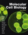 Molecular Cell Biology (International Edition)