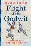Flight of the Godwit