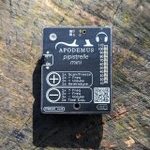 Apodemus Pipistrelle Mini