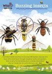 FSC Discovery Guide: Buzzing Insects