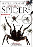 Australia's Most Dangerous Spiders