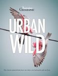 Urban Wild