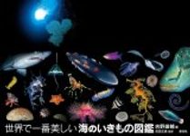 Sekai De Ichiban Utsukushi Mi No Iki Mono Zukan [The World's Most Beautiful Illustrated Guide to Sea Creatures]
