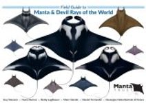 Field Guide to Manta & Devil Rays of the World