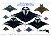 Guia de Campo das Jamantas do Mundo [Field Guide to Manta & Devil Rays of the World]