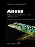 Anolis