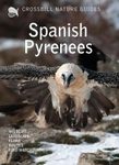 Crossbill Guide: Spanish Pyrenees