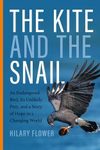The Kite and the Snail