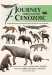 Journey through the Cenozoic