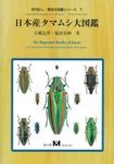 The Buprestid Beetles of Japan [Japanese]