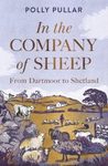 In the Company of Sheep