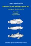 Blennies of the Mediterranean Sea