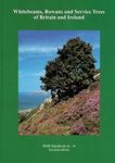 Whitebeams, Rowans and Service Trees of Britain and Ireland