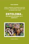 Fungi Europaei, Volume 5C / Flora Agaricina Neerlandica, Volume 1 (Supplement 2): Entoloma s.l. [English / Dutch / Italian]