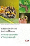 Caterpillars on Oaks in Central Europe / Chenilles des Chênes d'Europe Centrale