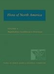Flora of North America North of Mexico, Volume 6: Magnoliophyta: Cucurbitaceae to Droserceae