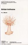  SBF Volume 18: British Anthozoa 