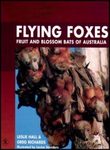 Flying Foxes